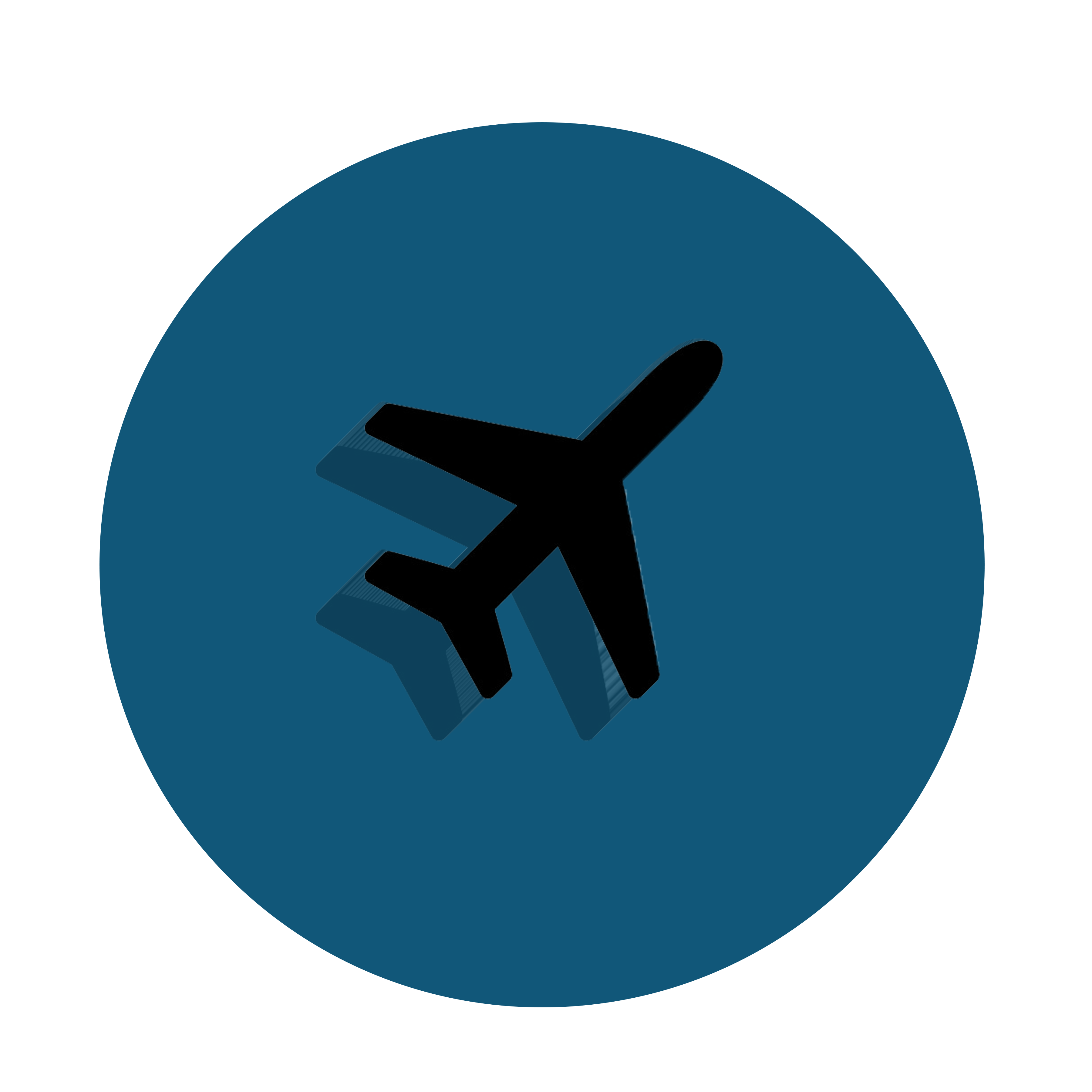 airline icon